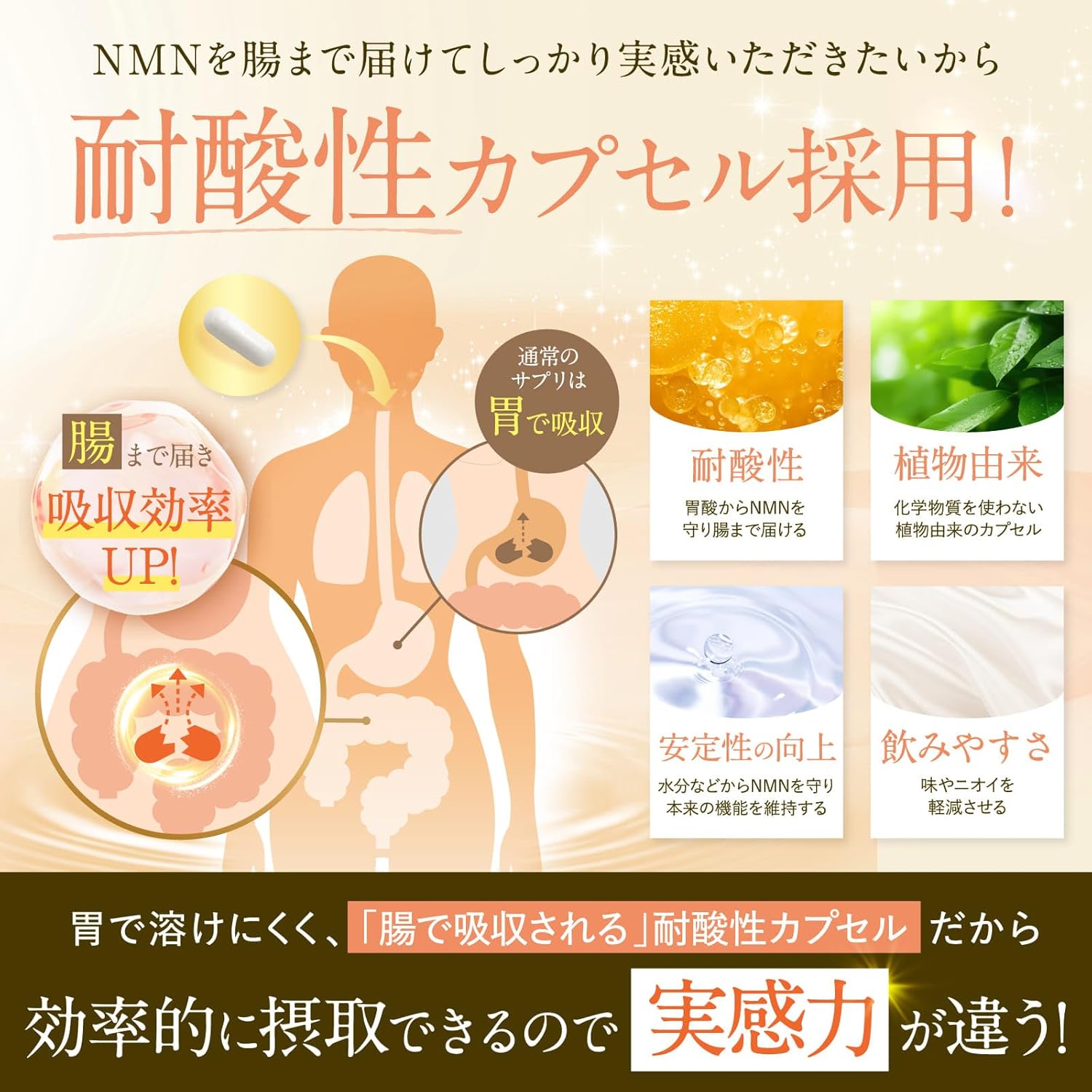 NMN 50,000mg 프리미엄